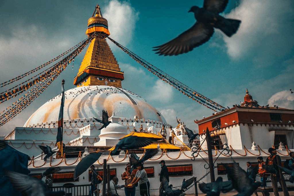 Web Design and Development Company in Kathmandu
